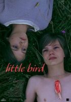 little-bird